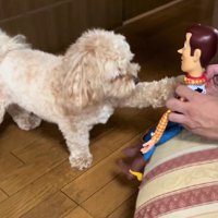 「あれ？」「なんで？」