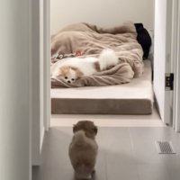 唸られてしまった…