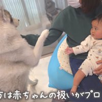 そっと近づくもんちゃん