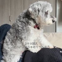 もなかちゃんの成長3