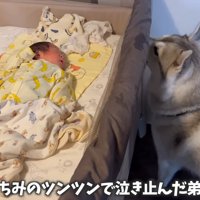 赤ちゃんのお世話に協力的