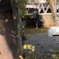 まる君とお姉ちゃんの再会7