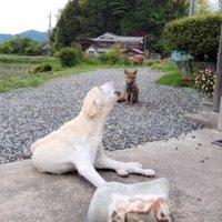 17歳になっても一緒