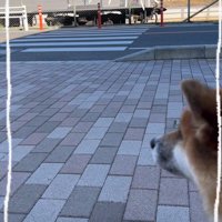 気付いた車掌さんが…
