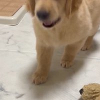 「今だ！」