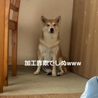 ギャップが発覚