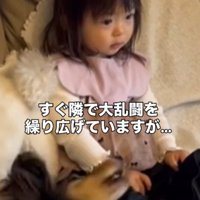 大乱闘している隣で…