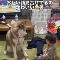 タイミング、完璧