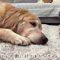 「安心してね」