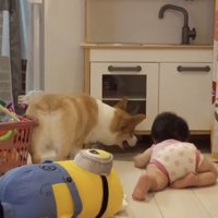 手が届きません…！
