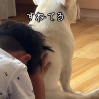 背中を貸してくれています