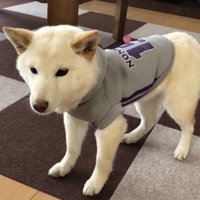 フリーズしてしまいました！