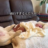 母性本能少なめかも…！
