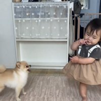 子どものことをよく見る犬1