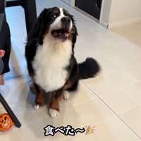 やっと食べ始めました♪