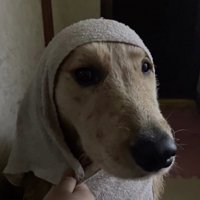 …恥ずかし！！