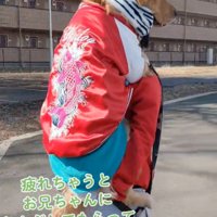 嬉しそうにおんぶされる犬