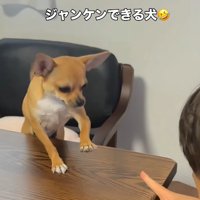 男の子の勝ち！