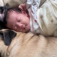 あぽ君とのえる君と赤ちゃん2