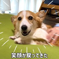 笑顔が戻ったかと思いきや…