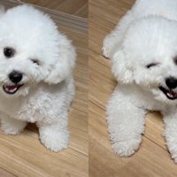 片目を瞑りながら