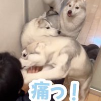 パンチが炸裂