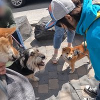 ワンちゃんとの交流を楽しむナラちゃん