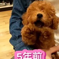 れおん君のビフォーアフター