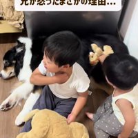 弟さんがやってきて…