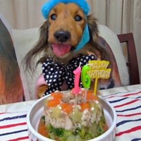誕生日ケーキを目の前にして笑顔になる犬