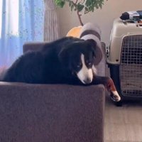 サラリーマンみたい！！