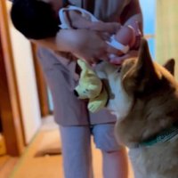 おもちゃ貸してあげる！