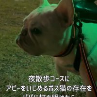 大きな羽の装置！！