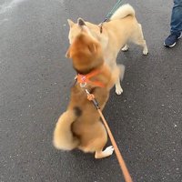 思わずハグ2回目！！