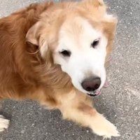 満面の笑みでお出迎え