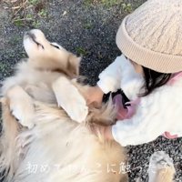 優しいナデナデ