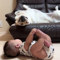 赤ちゃんが見つめても…