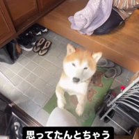 富士くんが出迎えるも…