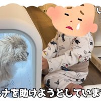 ハナちゃんの救出に失敗