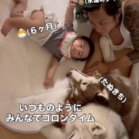 パパの髪鷲掴み