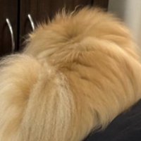 ふわふわ