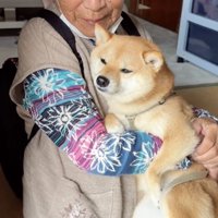 犬を抱っこする人