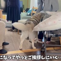 落ち着いたらご挨拶