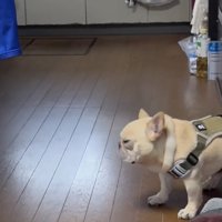 引きずられています