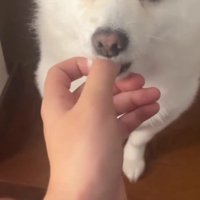 自然に指が口の中へ…