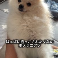 抱っこを嫌がるすのぅちゃん