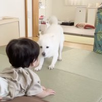 真ん前でピタッ