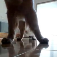 遊ぼう