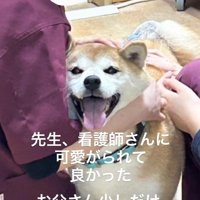 ジェラシーのお父さん