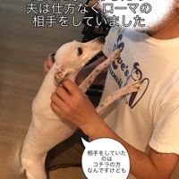 犬を抱っこする男性
